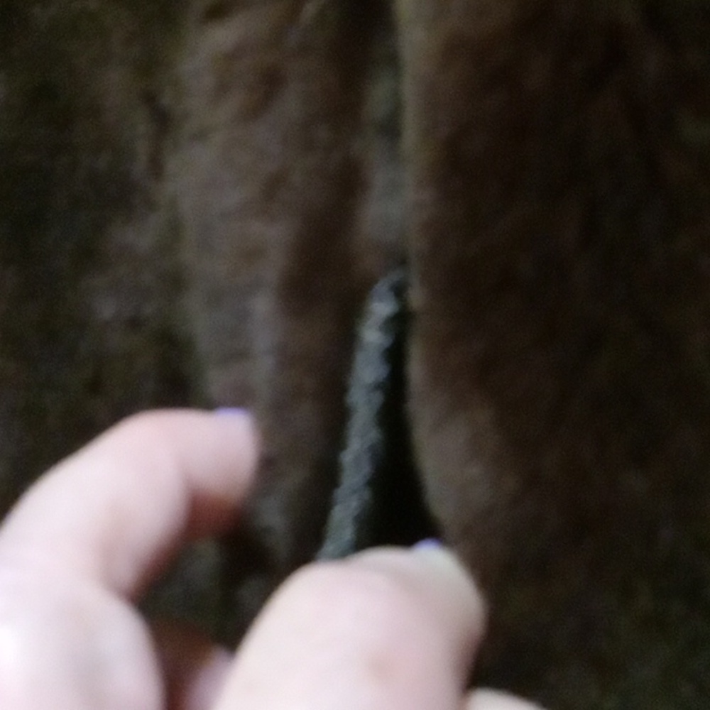 VINTAGE ALASKAN FUR COAT CUSTOM MADE BY CERBOTAI PARIS - Picture 13 of 13